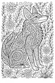 Coyote in the Wildflower Meadow