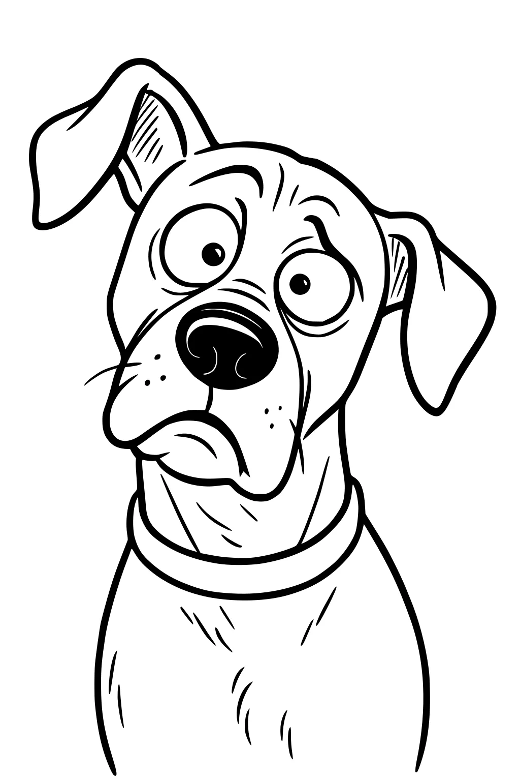 Dog with floppy ears and big eyes looking surprised, head tilted, wearing a collar.