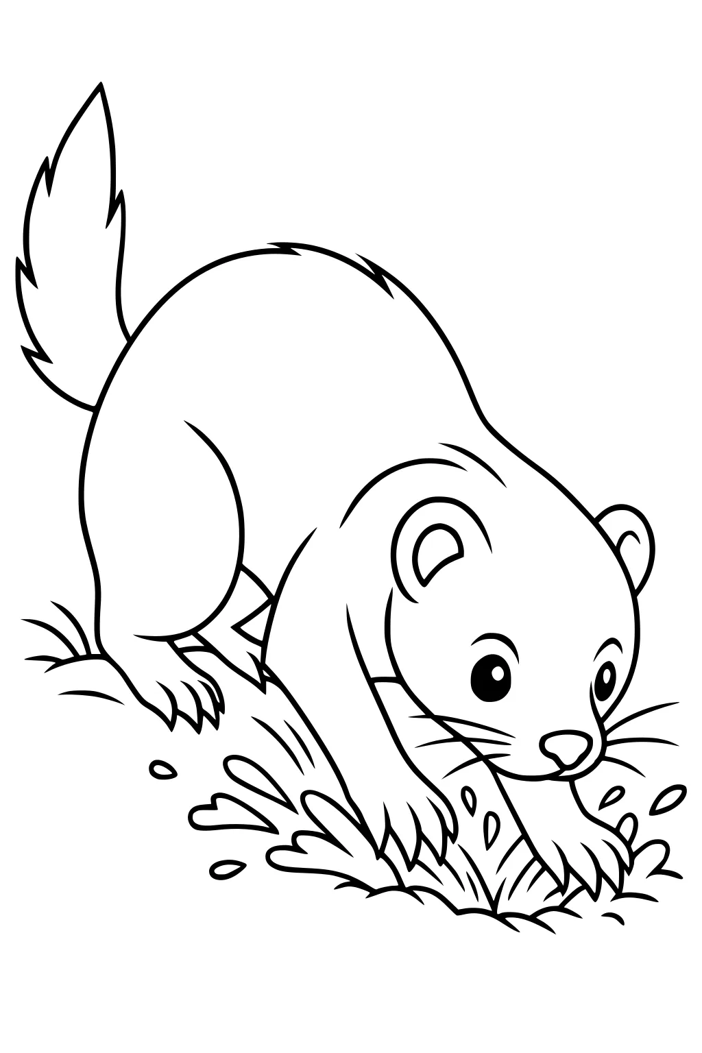 Ferret with bushy tail splashing in a small puddle, surrounded by tufts of grass