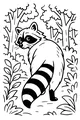 A Sneaky Raccoon in the Forest
