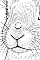Whiskers Wiggle and Hare Noses Twitch