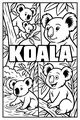 Day with the Koala Family