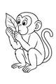 Curious Monkey Finds a Big Leaf