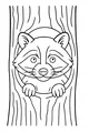 Peekaboo Raccoon in the Hollow Tree