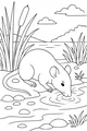 Thirsty Rat by the Quiet Pond