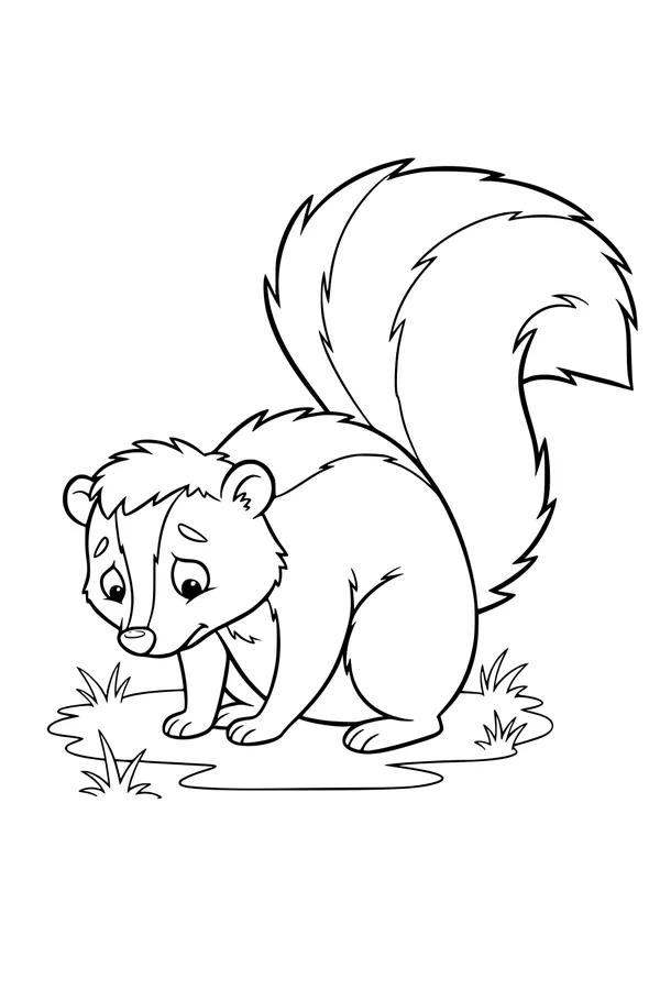 Sammy the Skunk’s Big Fluffy Tail