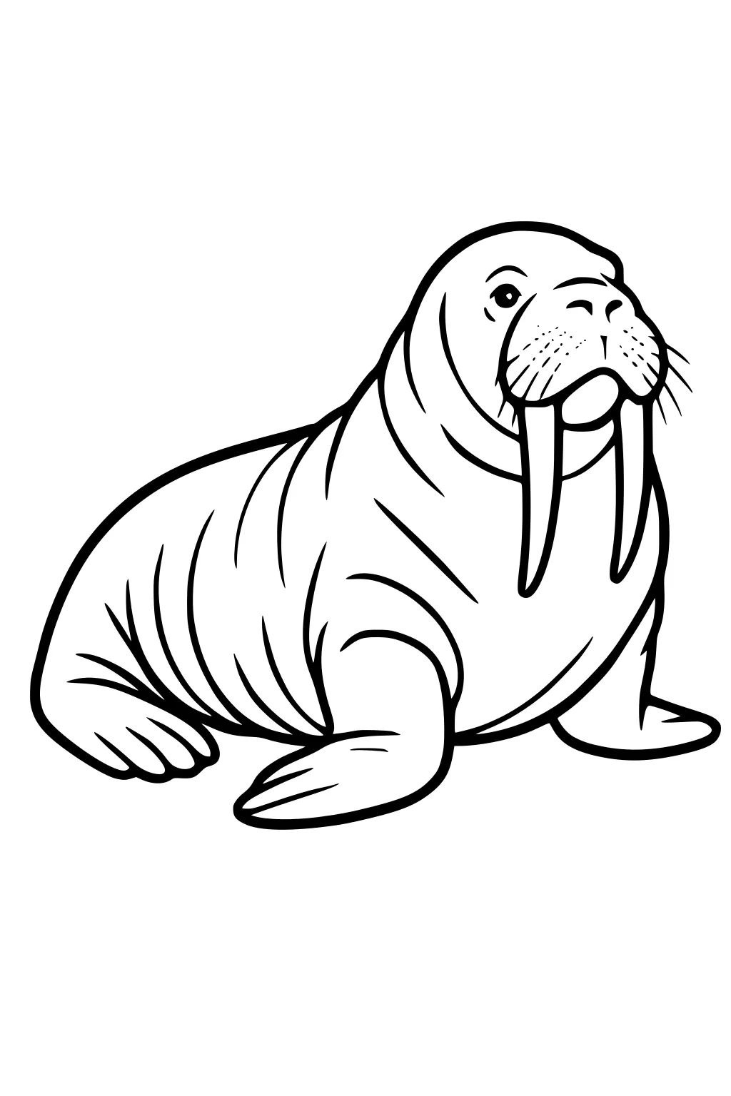 Outlined walrus with long tusks, round head, folded front flippers, and wrinkled skin sitting on white background.