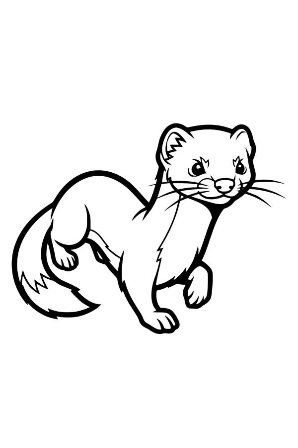 Wiggly Whiskers and Bushy Tail Weasel
