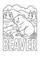 Busy Beaver by the Shimmering Pond