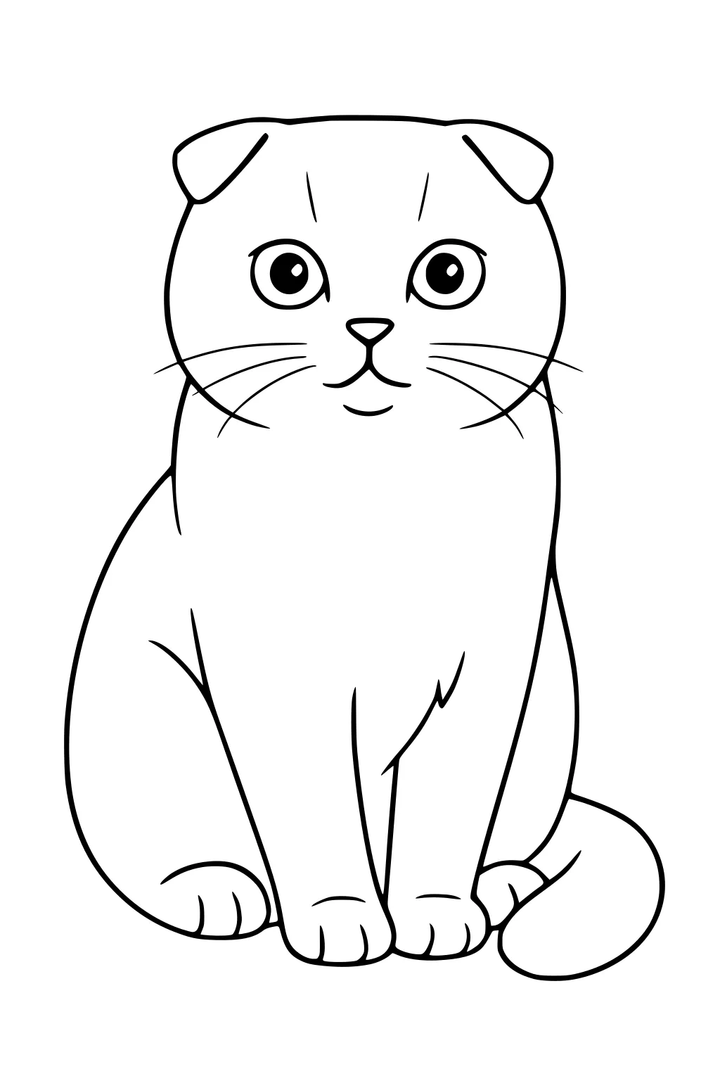 Line drawing of a cat with folded ears, big eyes, sitting upright with tail wrapped beside its paws.