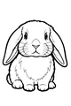 Floppy-Eared Bunny Waiting for a Hug