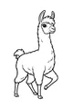 The Fluffy Llama on Parade