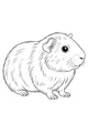 Fluffy Friend with Whiskery Cheeks