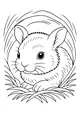 Sleepy Hare Peeks from the Meadow
