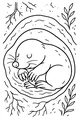 Molly the Mole’s Cozy Underground Nap