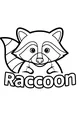 Peekaboo Raccoon With Stripey Tail