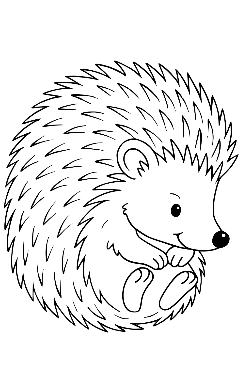Cartoon hedgehog with big black eyes, curled up, outlined spikes, and small round paws close to its belly.