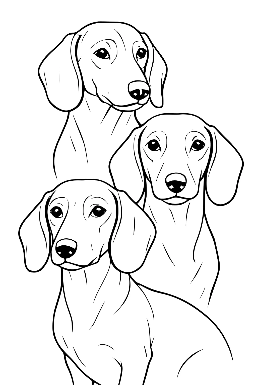 Three dachshunds with long ears and gentle eyes sit close together, facing forward in a clean line drawing.