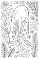 The Quiet Stream Sipper
