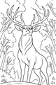 Morning in the Forest With a Proud Deer