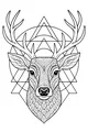 Wise Deer in the Geometric Forest
