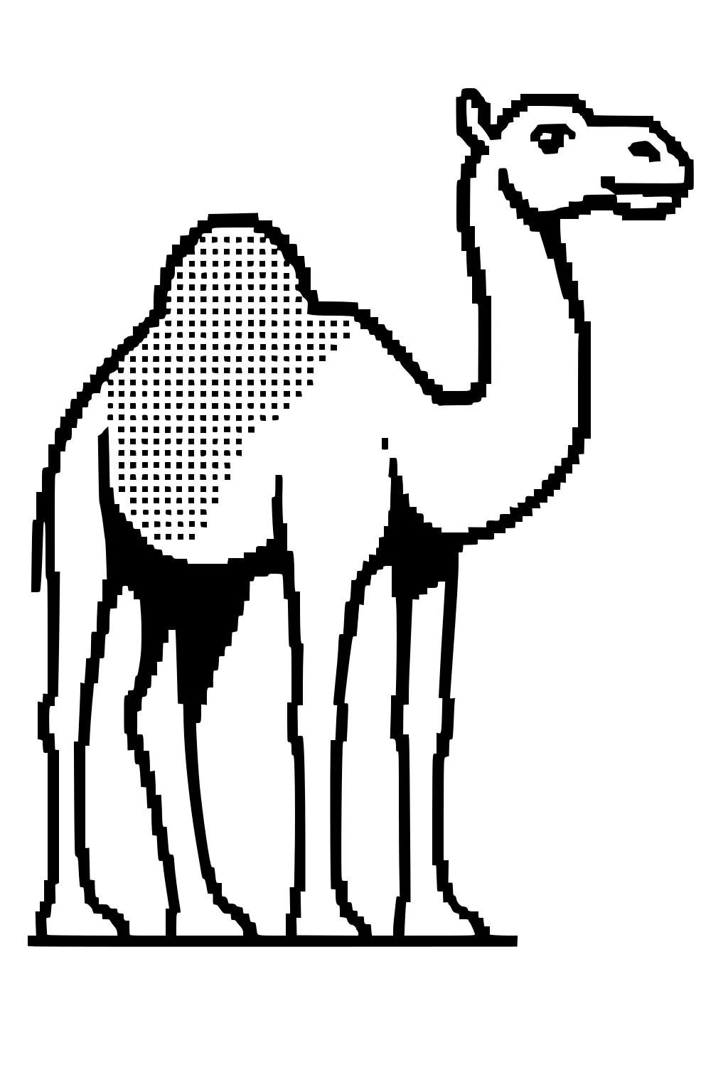 Single-humped camel with bold outlines and dotted pattern on hump, standing on all four legs, simple background.