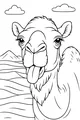 Desert Grins and Silly Camel Faces