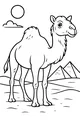 Sunny Stroll with a Friendly Camel