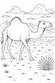 Desert Stroll with a Gentle Camel