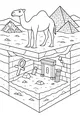 Curious Camel and Secret Egyptian Treasure