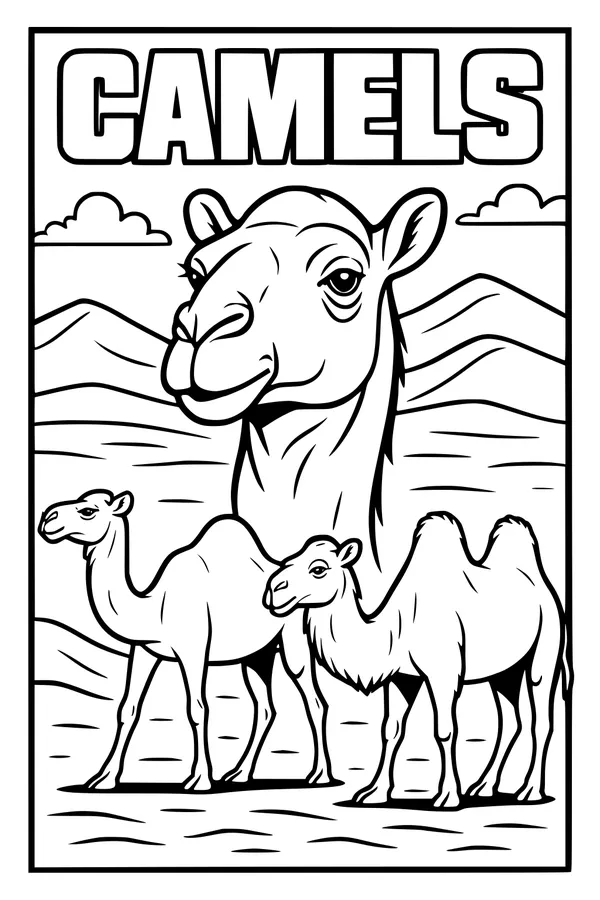 Sunny Day with Desert Camels