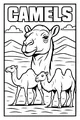 Sunny Day with Desert Camels