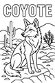 Coyote on the Sun-Baked Rocks