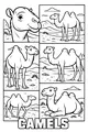 Desert Friends with Humpy the Camel