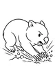 Burrow Dash Wombat