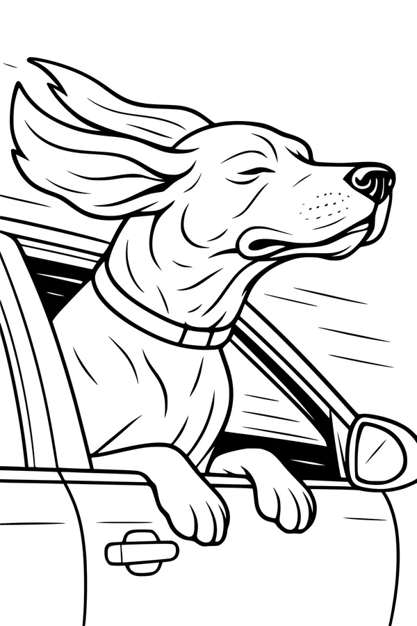 Windy Ride for a Happy Pup