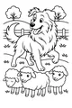 Sunny Day With the Fluffy Farm Dog