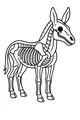 Donkey Bones Show and Tell