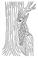 Forest Elf Behind the Trunk