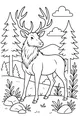 Elk in the Piney Woods Morning