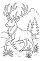 Big Antlers in the Quiet Forest