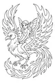 Fairy and the Firebird Soar