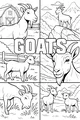 Busy Day With The Goat Family