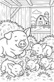 Naptime in the Cozy Barnyard