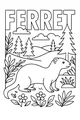 Ferret in the Forest Meadow