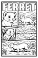 Frisky Ferret in the Meadow