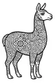 Luna the Llama in Flowery Patterns