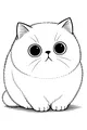 Fluffy Kitty with Wide, Wondering Eyes