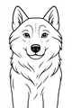Bright Eyes, Fluffy Ears