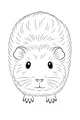 Fluffy Pom-Pom the Guinea Pig